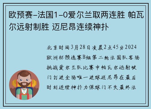 欧预赛-法国1-0爱尔兰取两连胜 帕瓦尔远射制胜 迈尼昂连续神扑