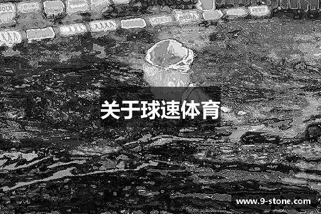 关于球速体育
